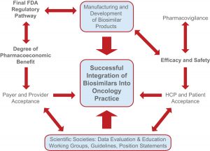 Parameters influencing the successful uptake and integration of biosimilars into US oncology practices