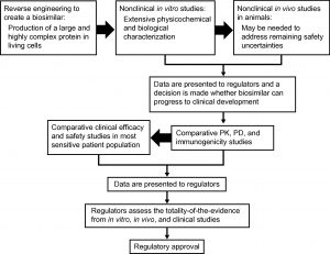 The biosimilar development process (Biologics)