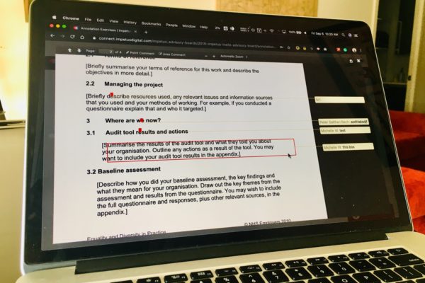 Document and material review or co-creation, White paper and consensus document development, reviews, and communication, White paper, consensus document, and guideline generation and dissemination on the impetus insite platform