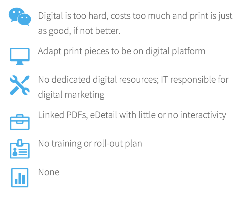 Digital maturity beginners