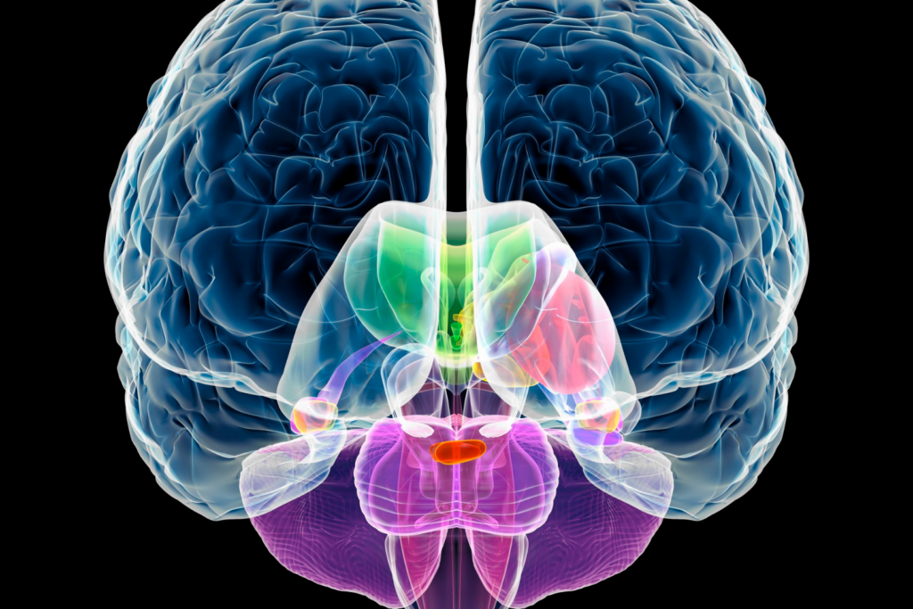 Roles of Neuroscience & AI in Solving Complex Healthcare Challenges: Fireside Chat with Phillip Alvelda (Brainworks)