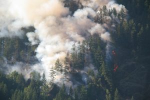 The climate crisis has caused unprecedented weather and forest fires