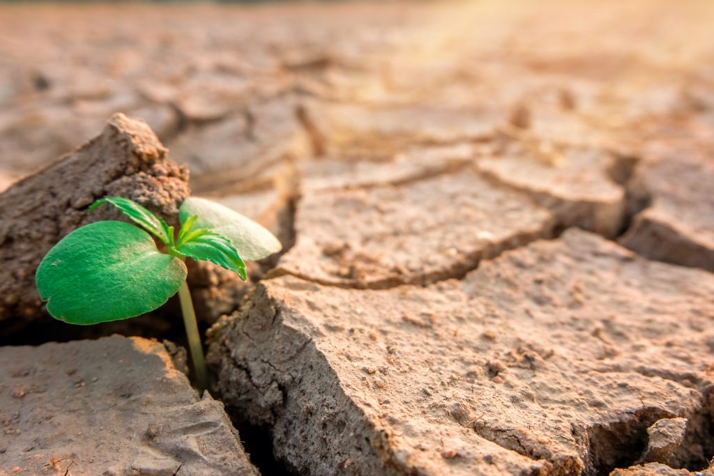 Pharma needs to do their part in fighting the climate crisis