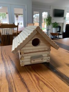 Earth Week challenge: build a birdhouse