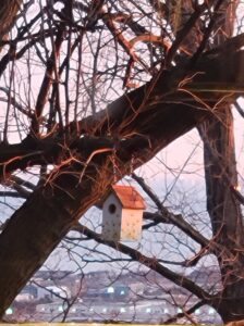 Birdhouse